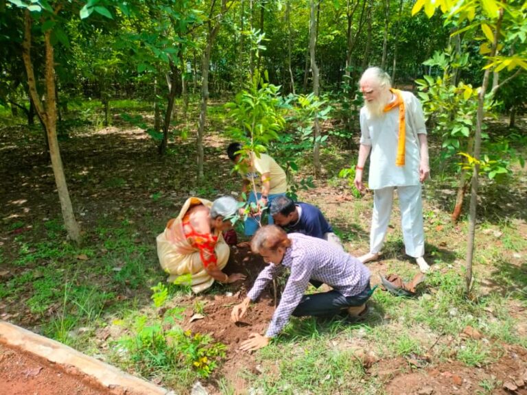 वृक्षारोपण कार्यक्रम